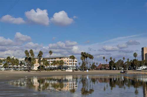 scenic-view-lake-palm-trees