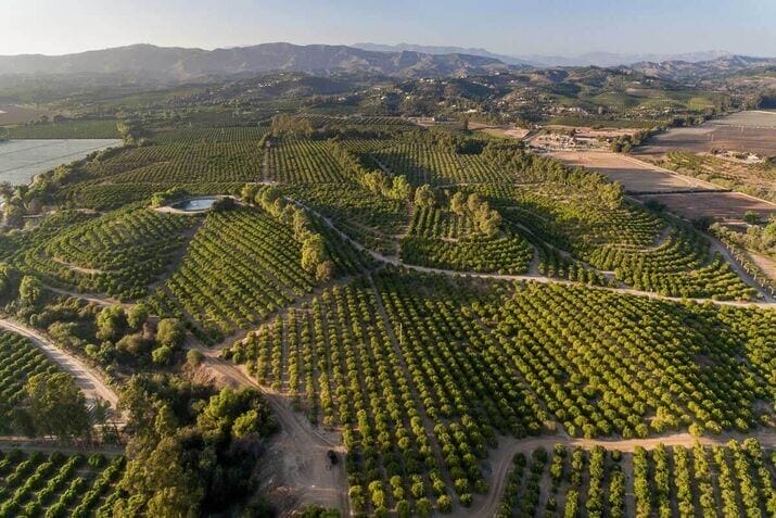 Plant fields